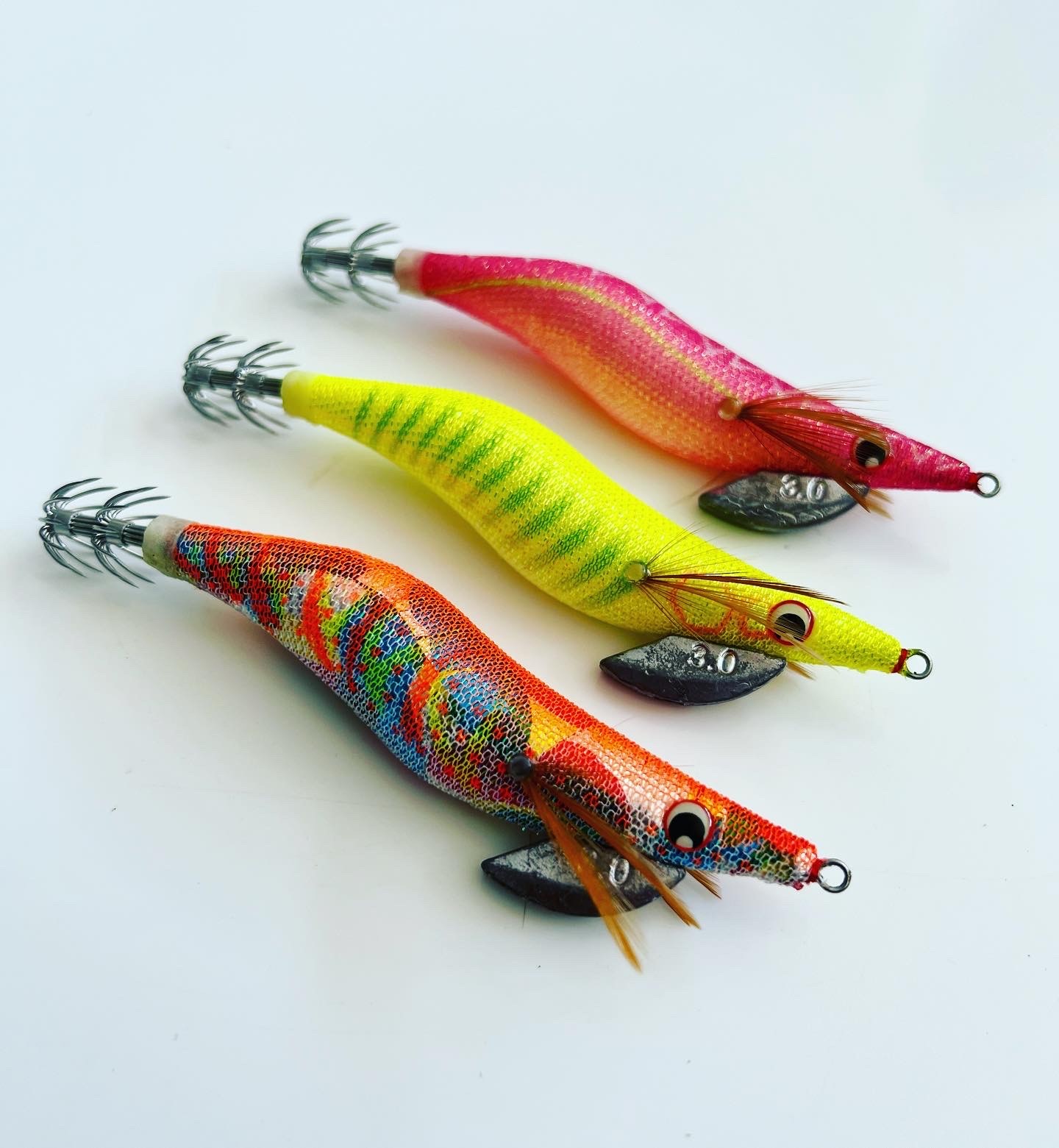 Jibionera Ryoshi EGI Shokki - Imagen 4