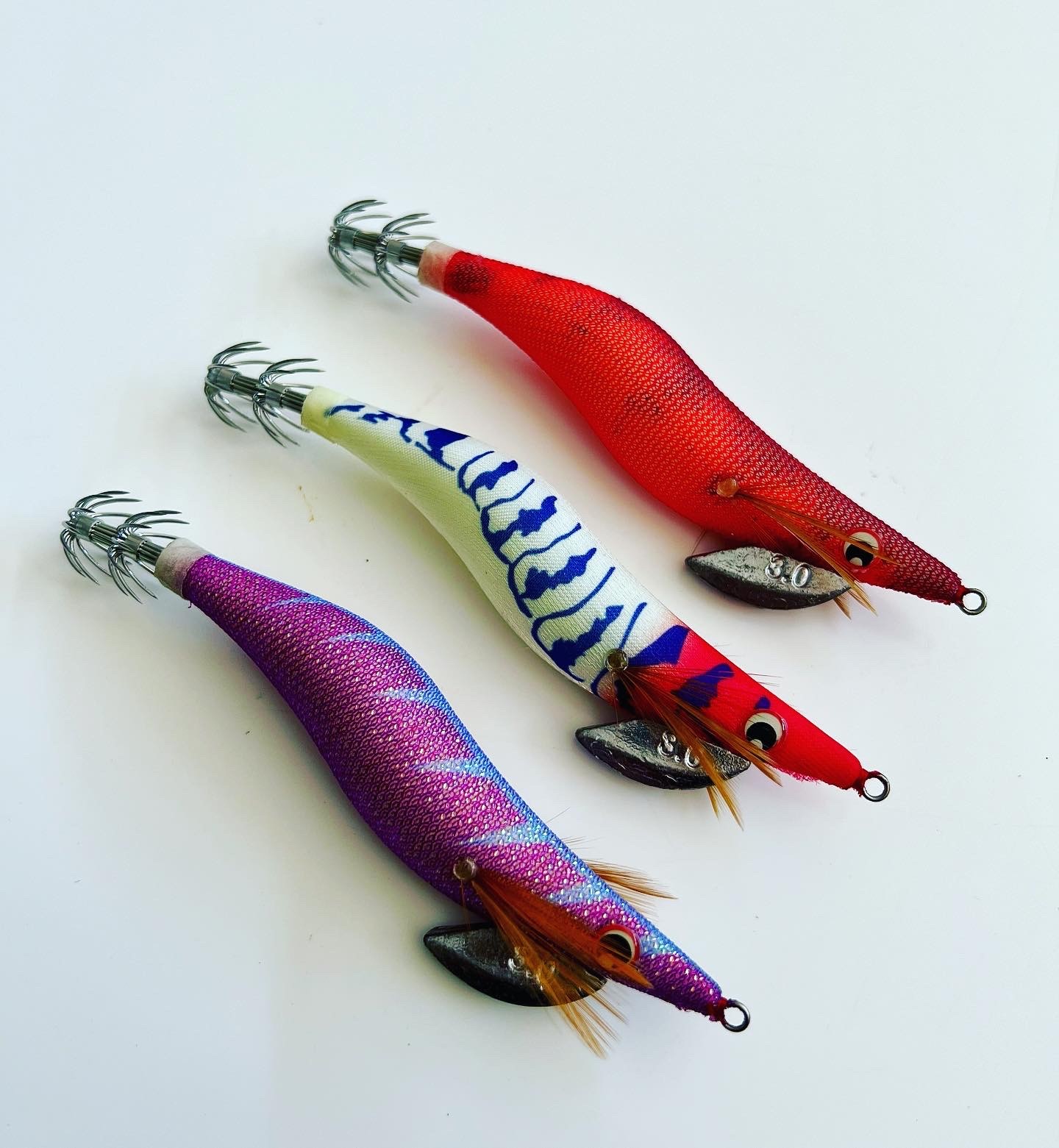 Jibionera Ryoshi EGI Shokki - Imagen 7